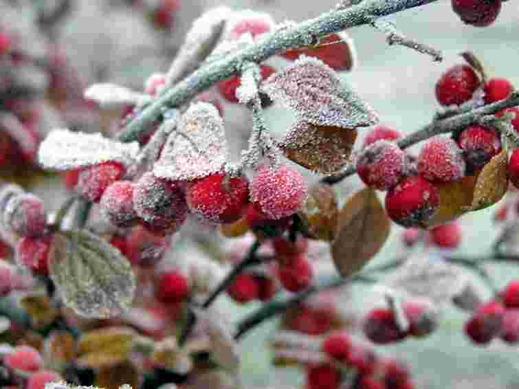 На вихідних в України – дощ і заморозки