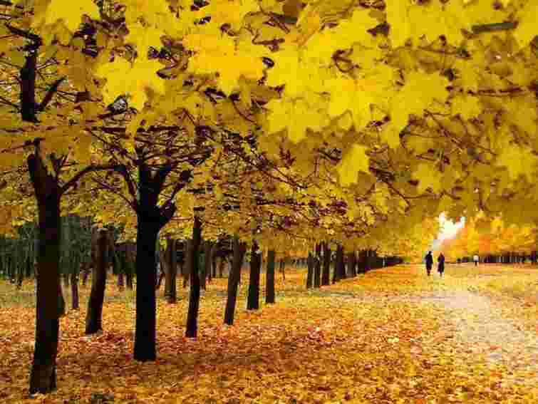 На вихідні в Україні відчутно потепліє