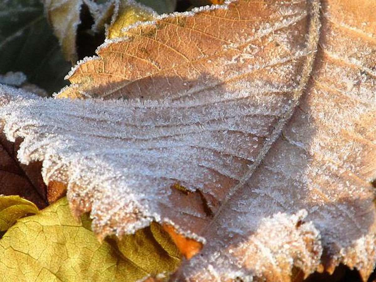 Завтра на заході вночі приморозки, вдень – до 16° тепла