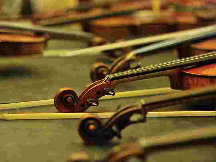 Львівські та польські студенти помузикують з «Віртуозами Львова»