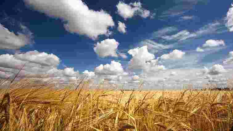 У Януковича очікують рекордний урожай зерна