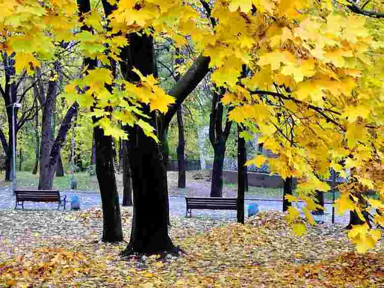 На вихідних у Західній Україні – тепло і туманно