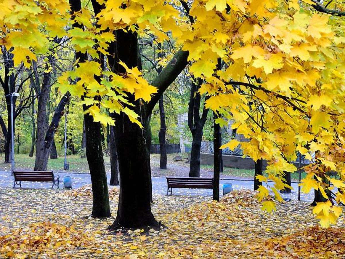 На вихідних у Західній Україні – тепло і туманно