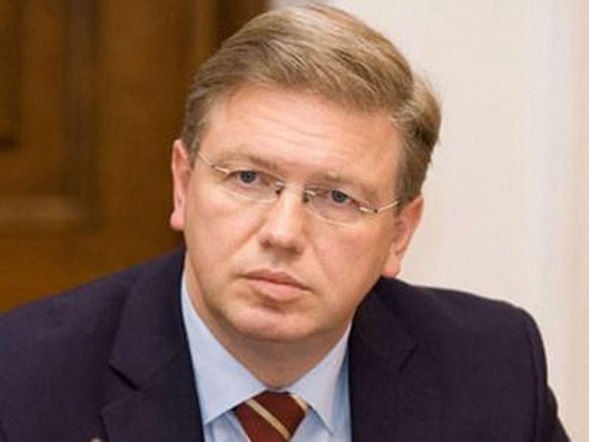 Фюле очікує, що Тимошенко буде в Німеччині ще до саміту у Вільнюсі