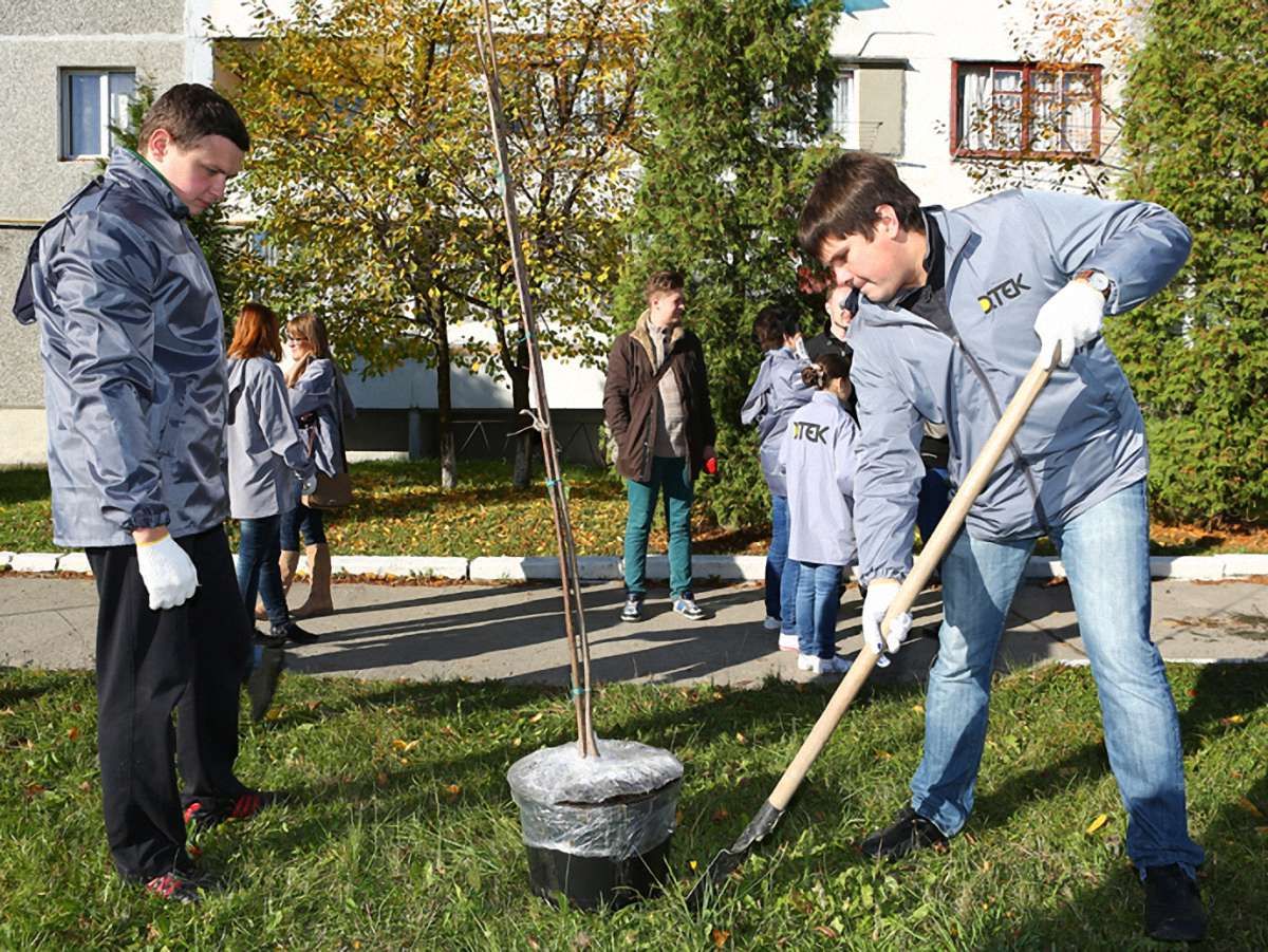 У Добротворі на Львівщині посадили 30 кленів