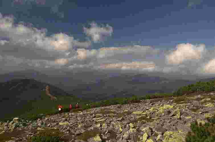 У Карпатах – штормове попередження через сильний вітер