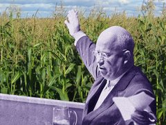 Горизонти історії