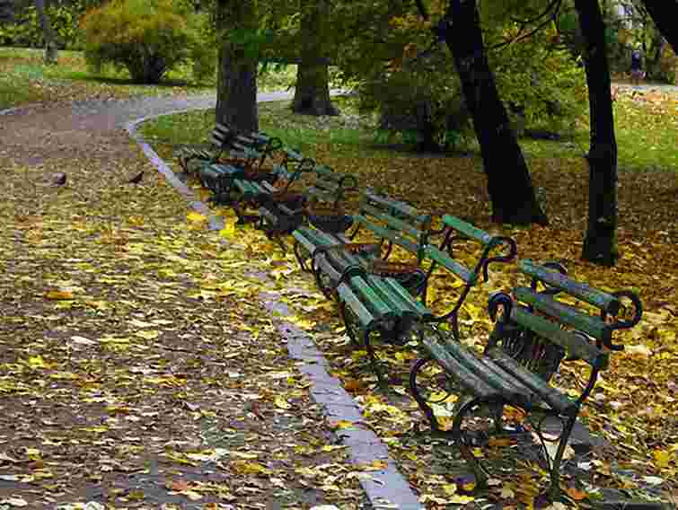Початок тижня буде хмарний, але без опадів