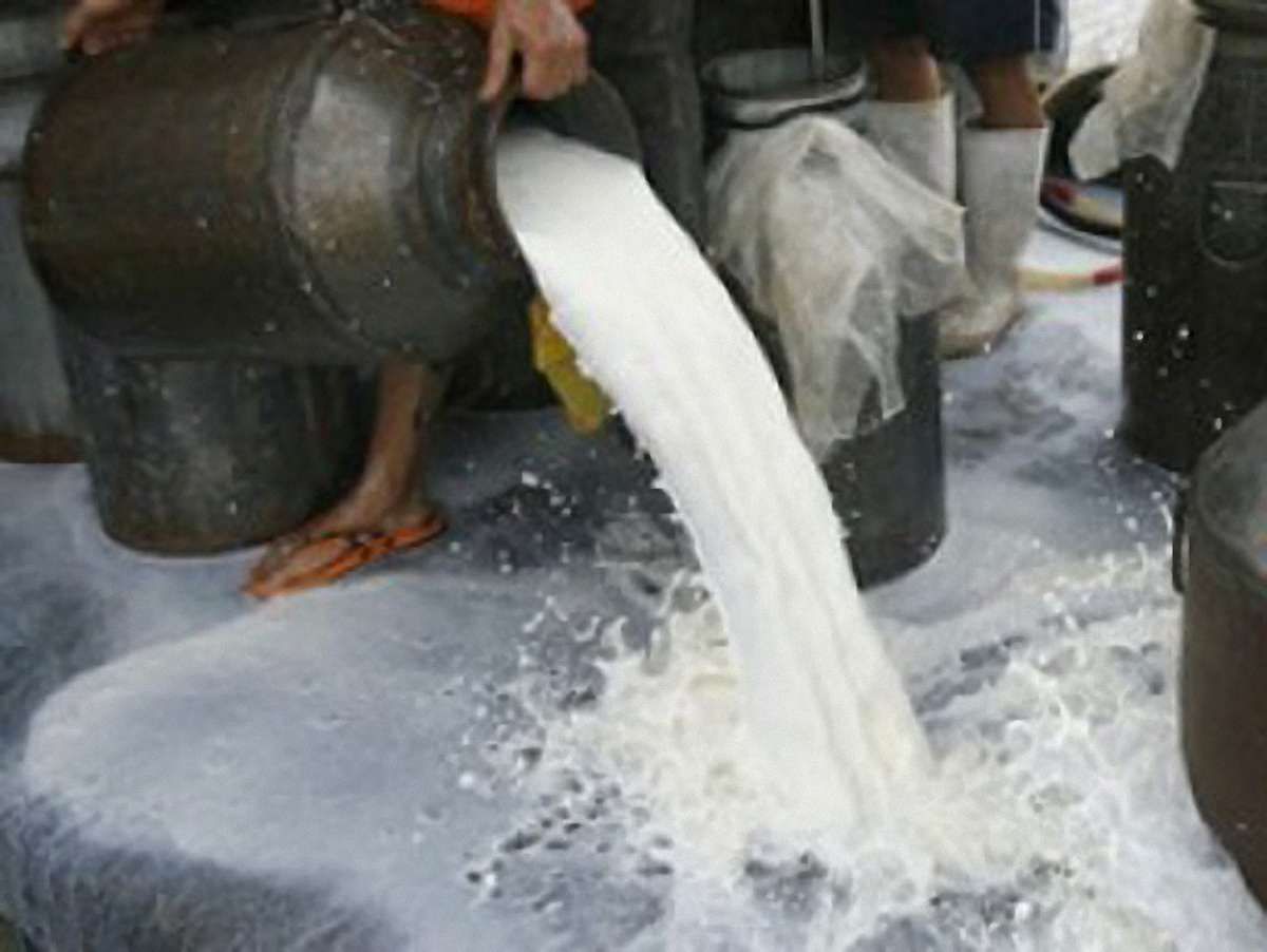 Молочні продукти можуть подорожчати на 10%