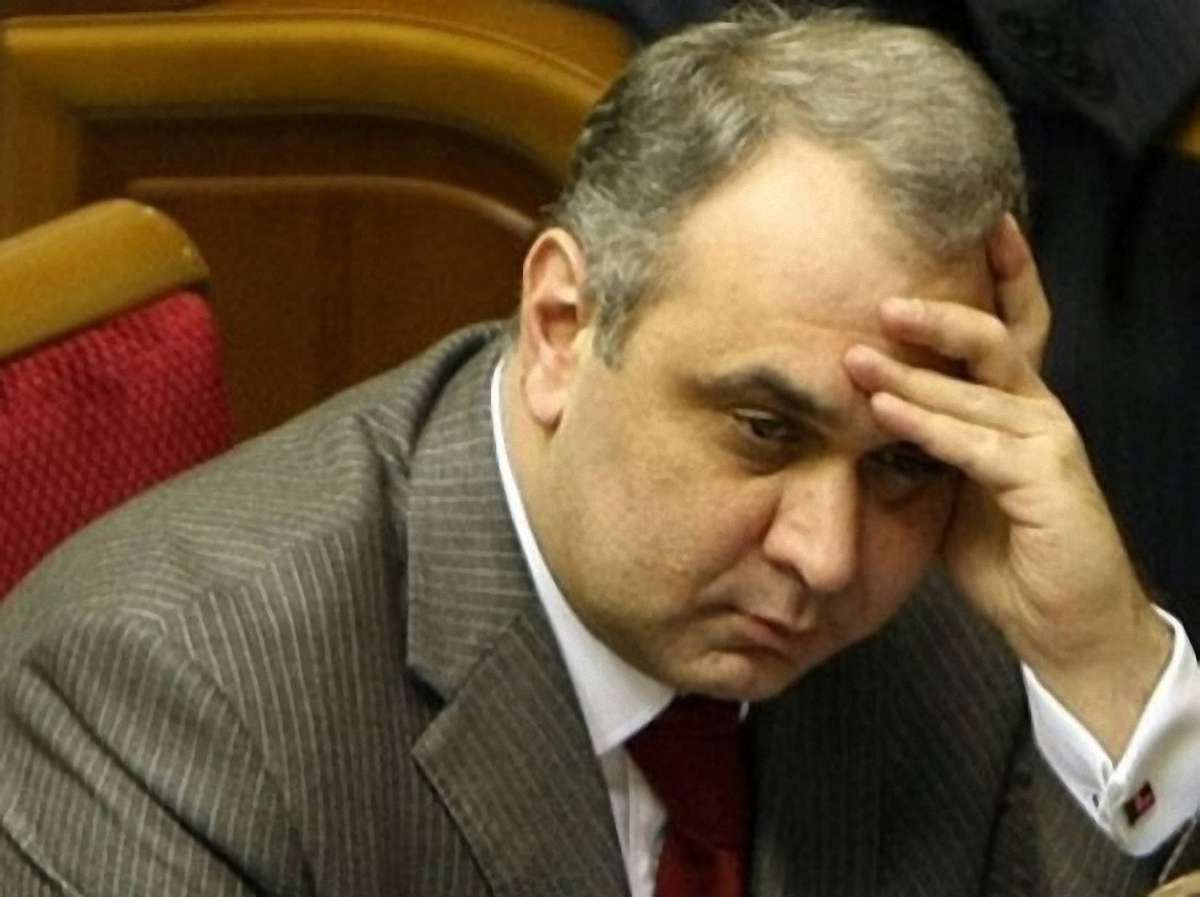 Усі фракції проголосують за євроінтеграційний закон про вибори, – Жванія