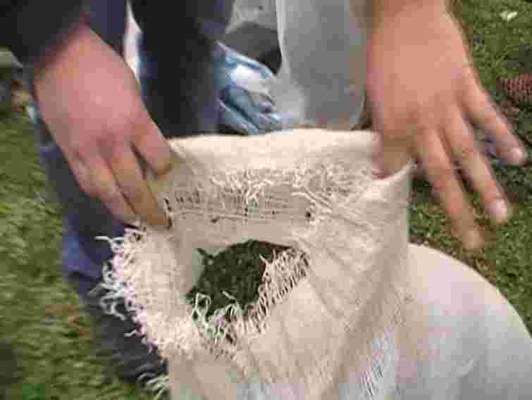 На Львівщині вилучили 30 кг марихуани (фото)