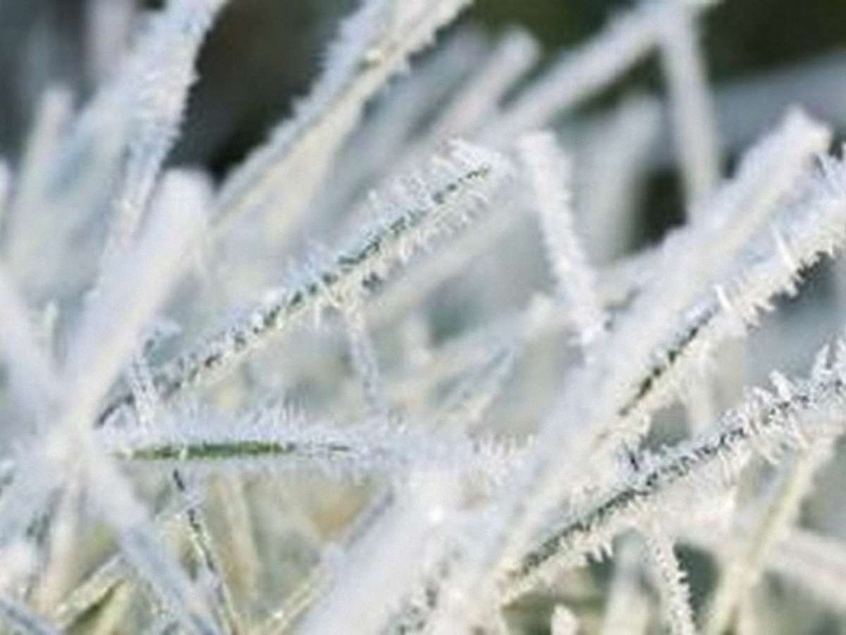 Сьогодні вночі на заході прогнозують до 9° морозу