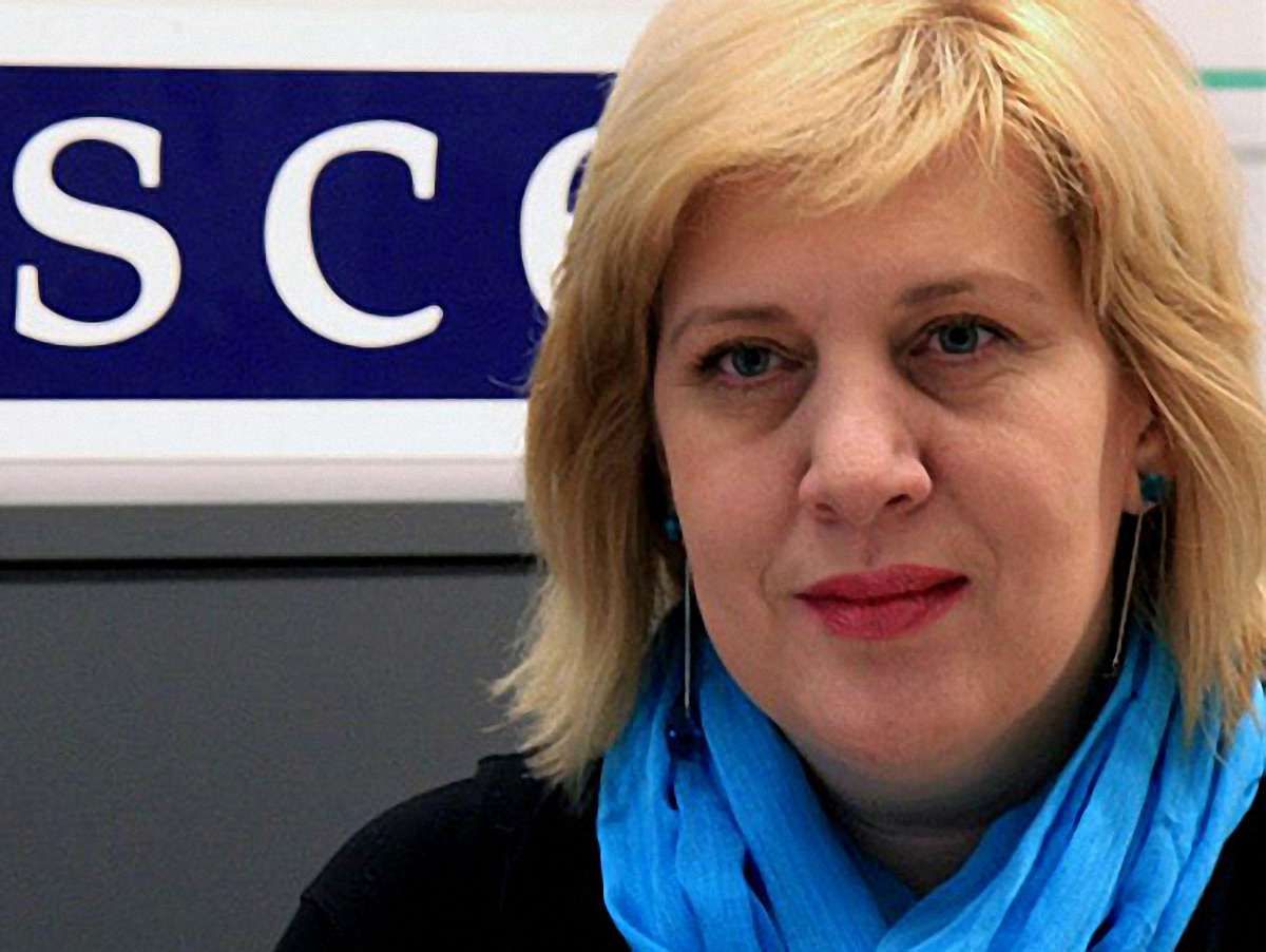 В ОБСЄ засудили побиття журналістів у Києві