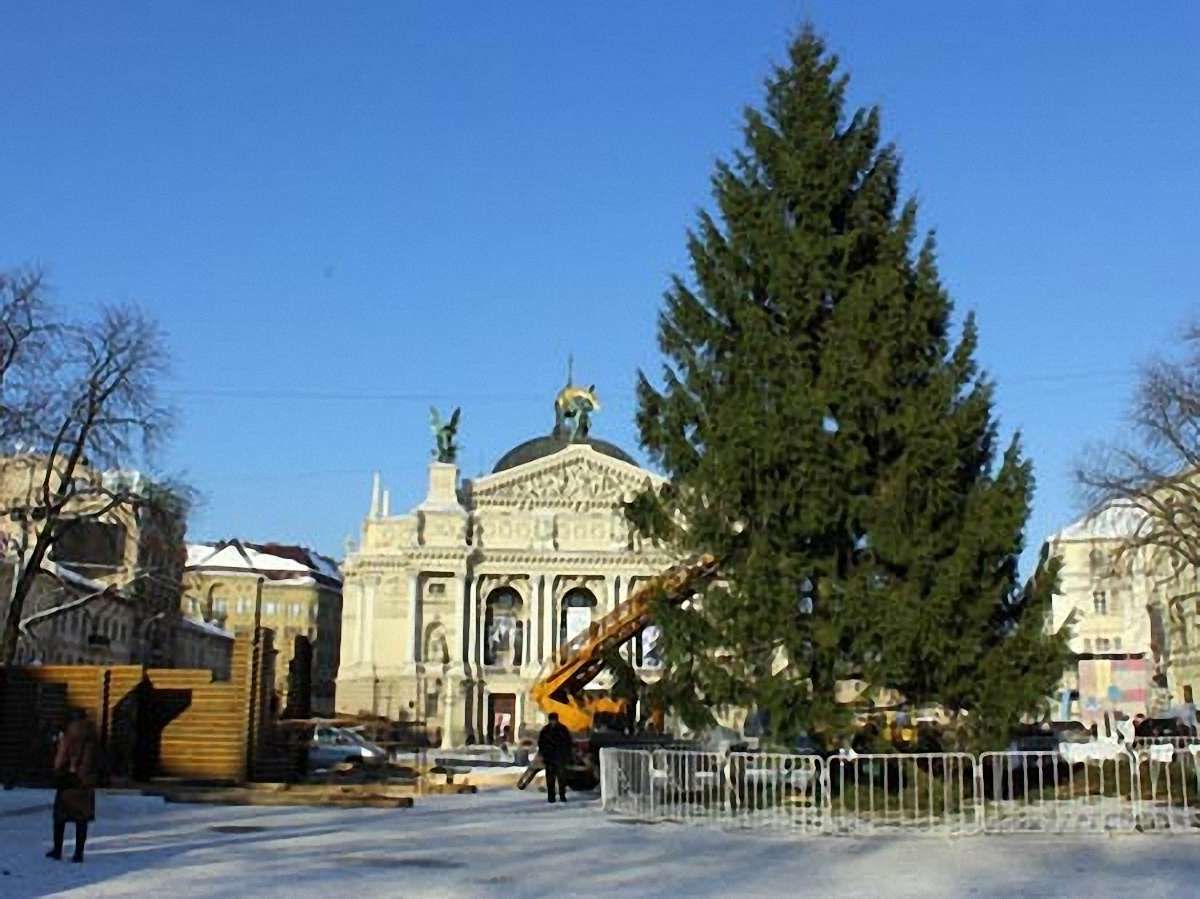 У Львові встановлять новорічну євроялинку