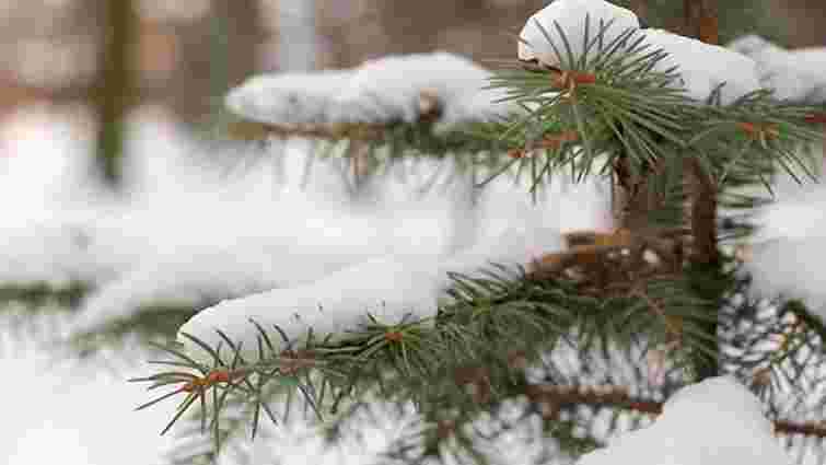 Синоптики обіцяють, що у новорічну ніч в Україні сніжитиме