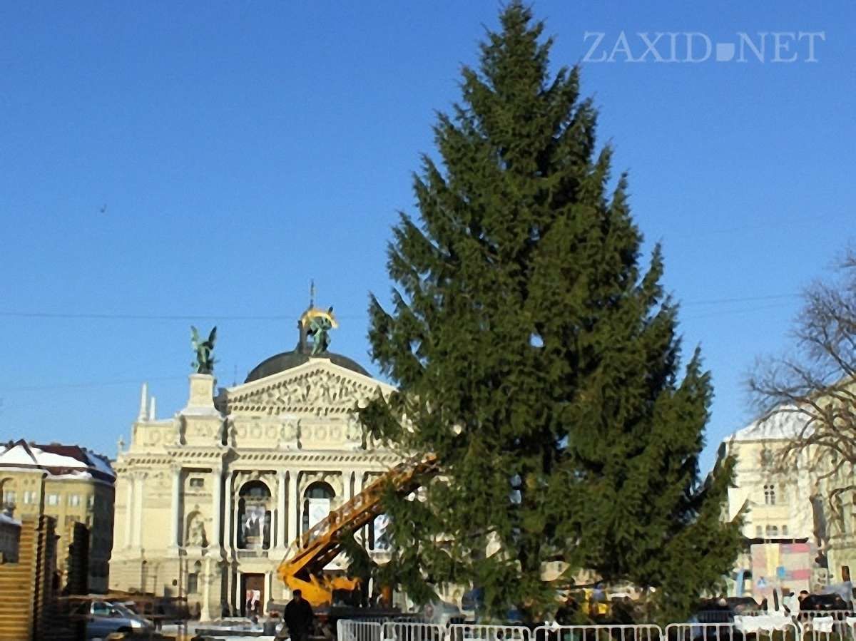 Сьогодні ввечері у Львові відкриють головну ялинку міста