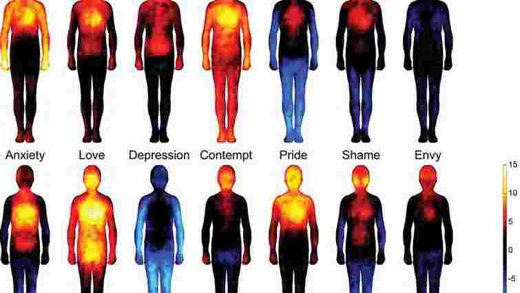 Вчені склали карту емоцій на тілі людини