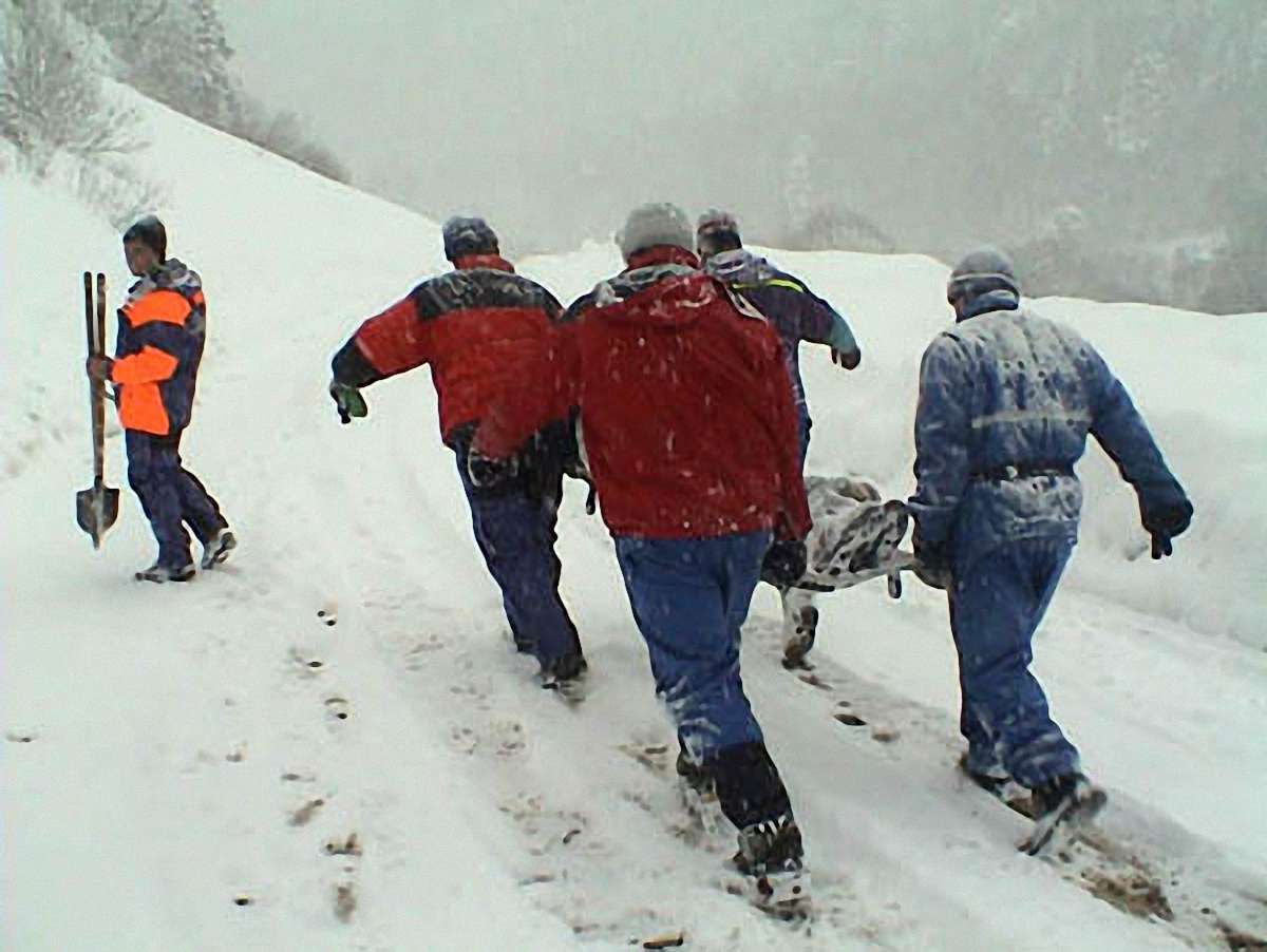 Туристи, які зірвалися з Ельбрусу, не є українцями, - МЗС