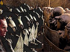 Дух Євромайдану і «класова» боротьба