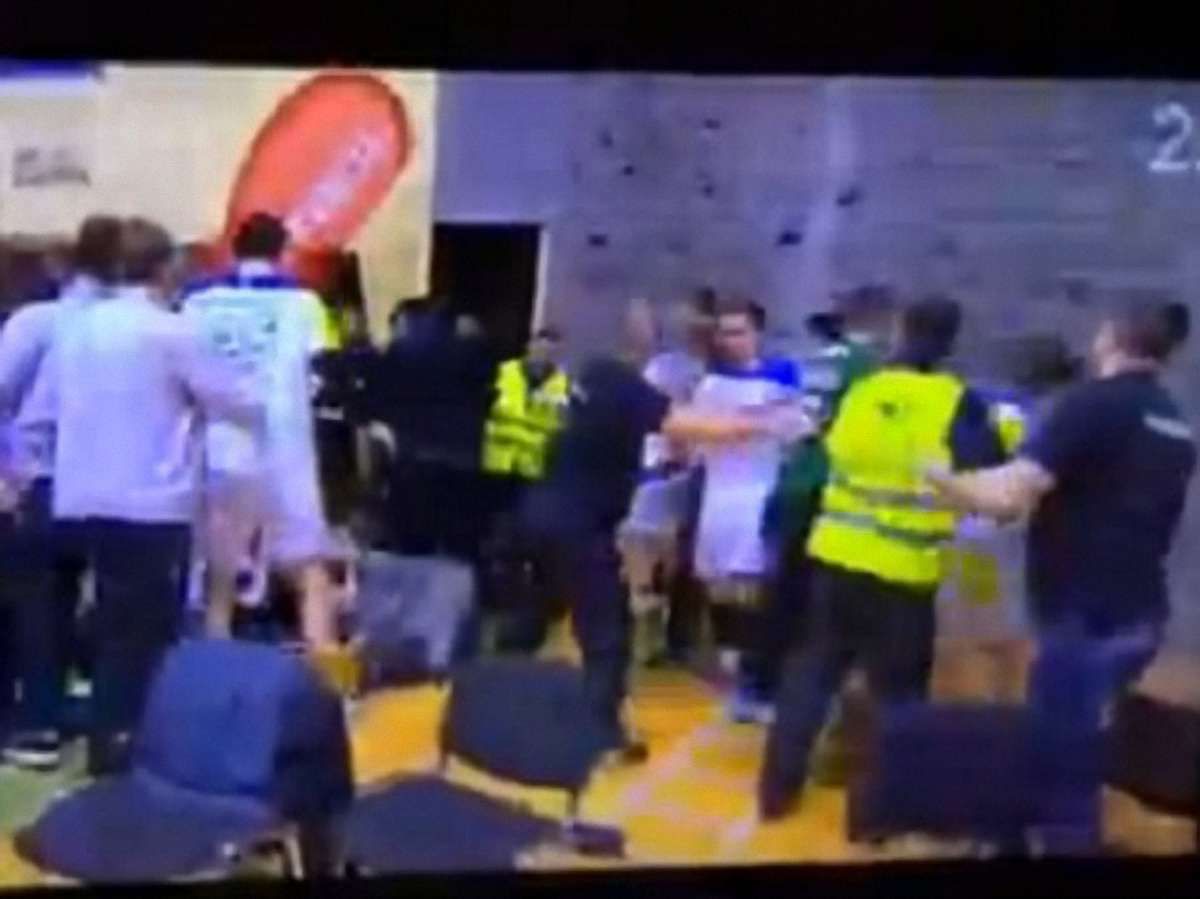 Українські і словенські гандболісти побилися після матчу (відео)