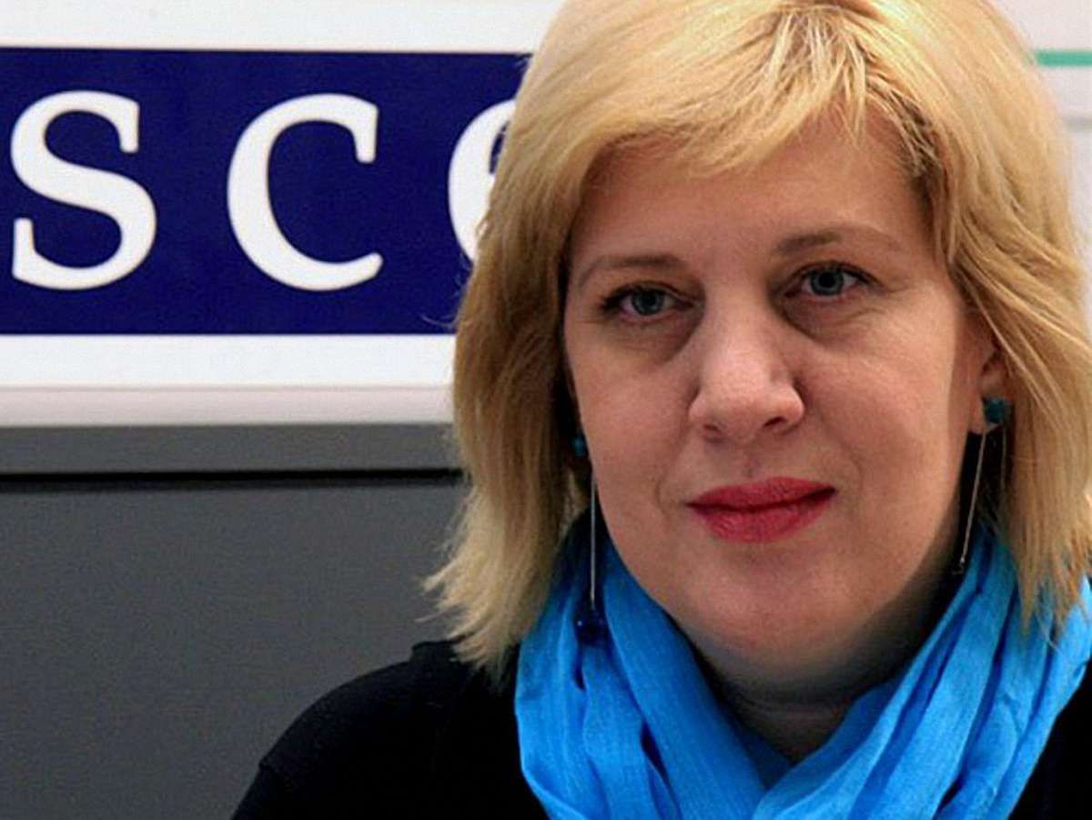 Ухвалені в Україні законодавчі зміни викликали занепокоєння в ОБСЄ