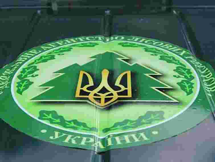 На Львівщині посадовці лісгоспу привласнили 700 тис. грн