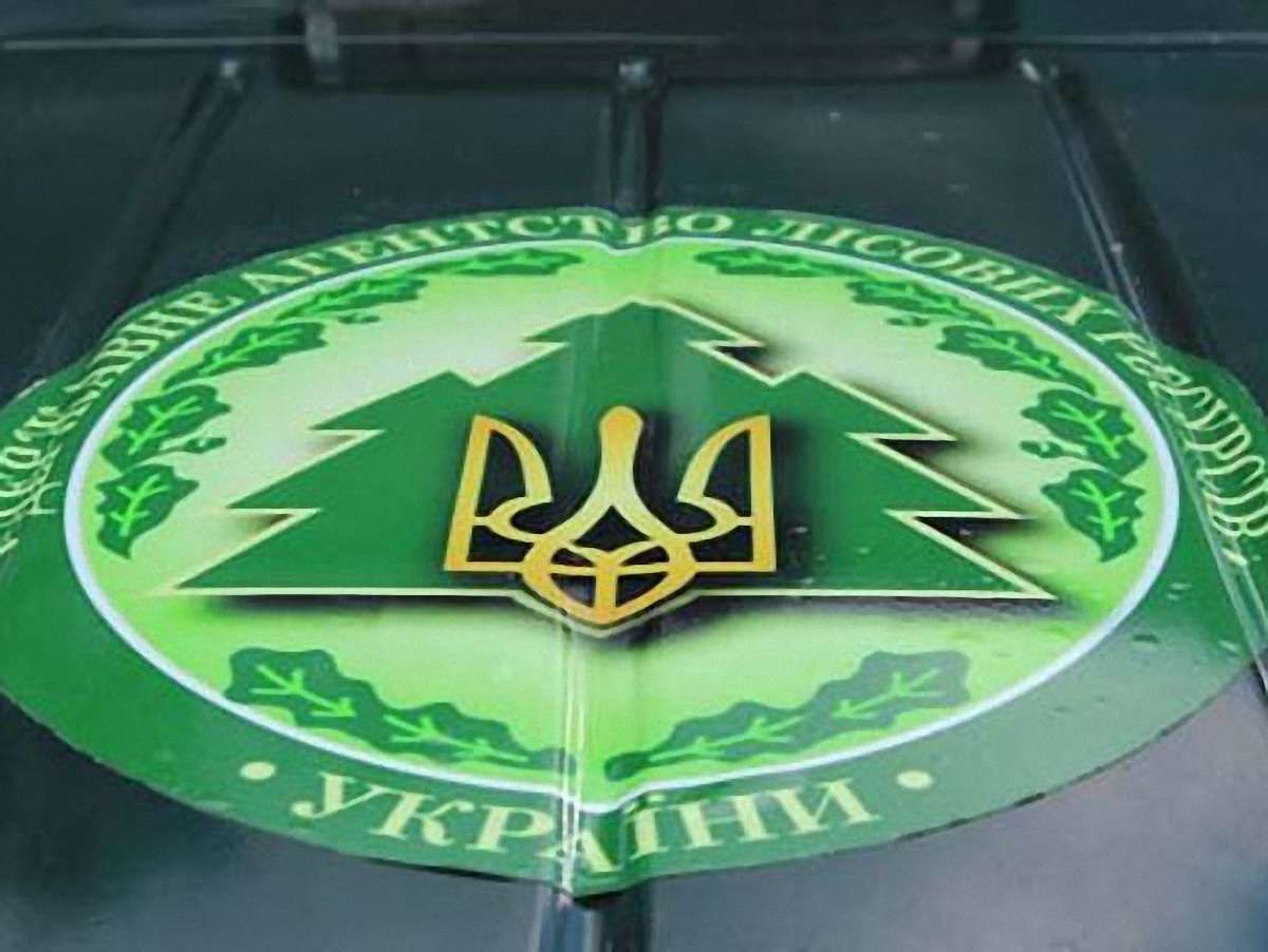 На Львівщині посадовці лісгоспу привласнили 700 тис. грн