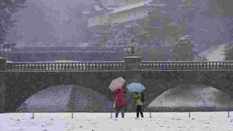 Сильний снігопад у Японії: майже сотня постраждалих