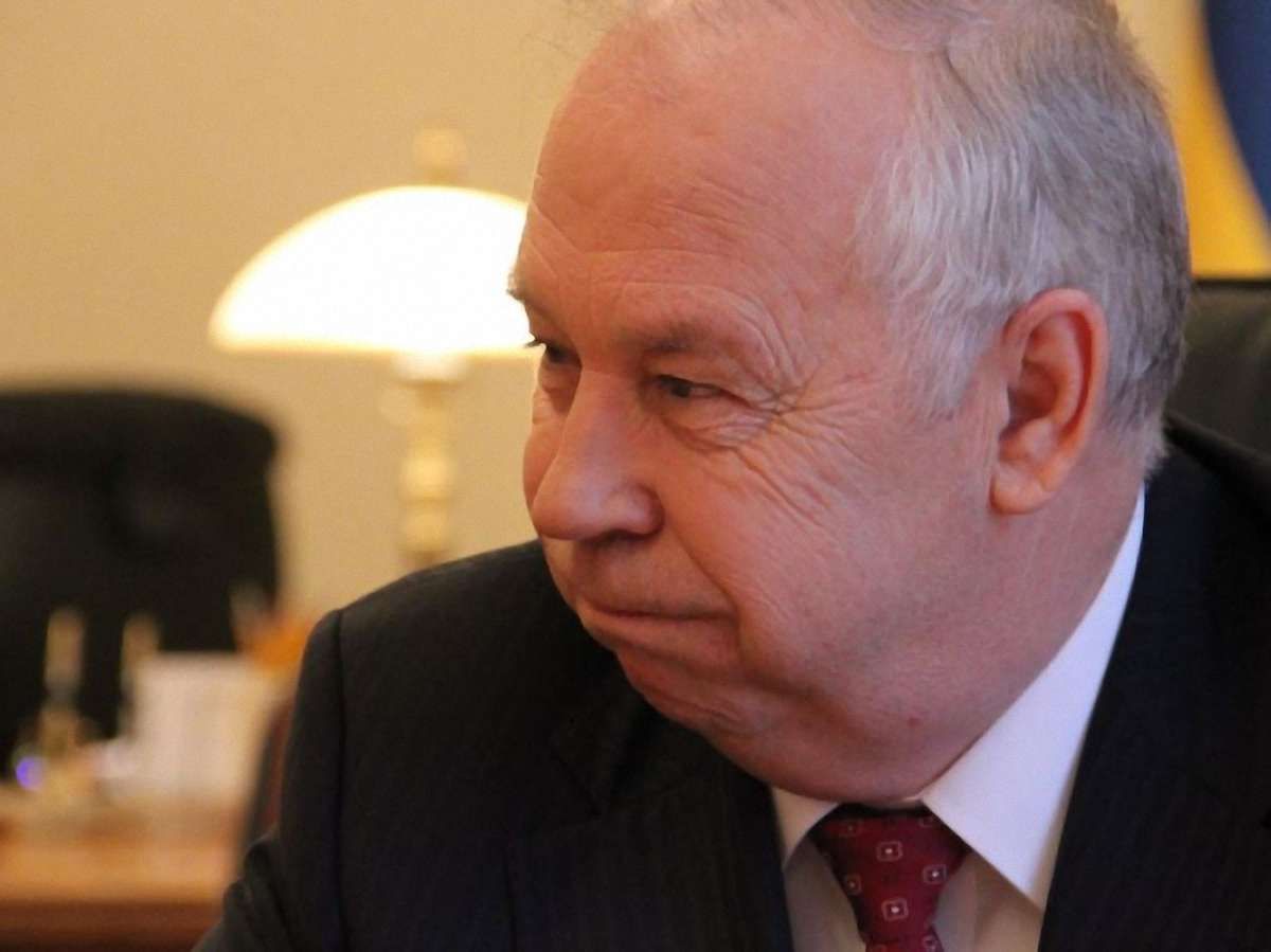Рибак не відкидає ймовірність референдуму щодо Конституції