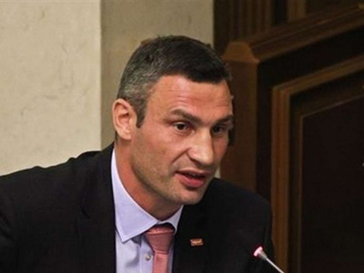 УДАР передав у Раду свій проект змін до Конституції