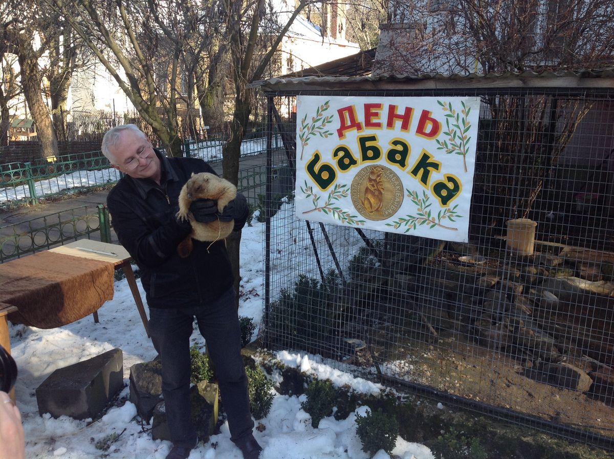 Львівський бабак Мишко напророкував весну аж на квітень