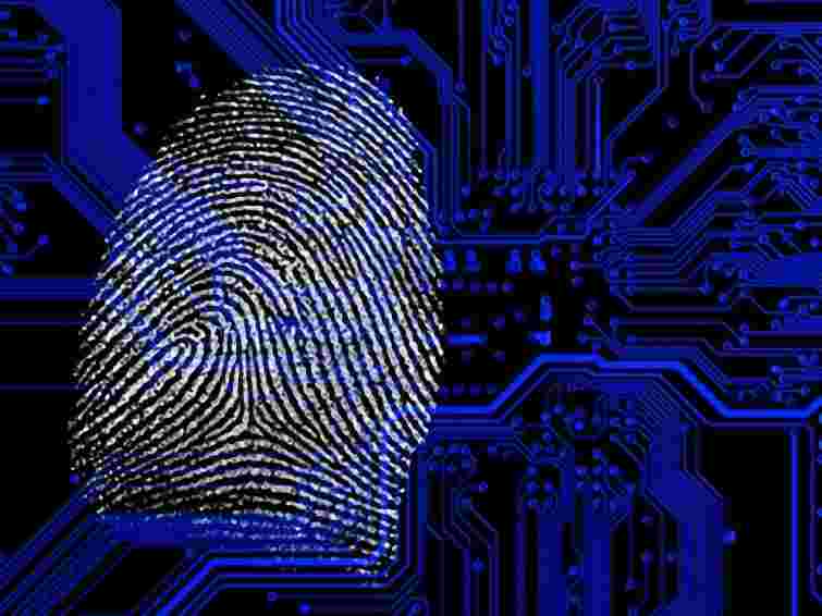 За кібератаку на сайт ПР програміст отримав 4 роки умовно