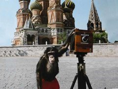 Про українську лисицю і українську мавпу