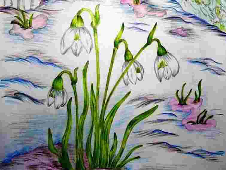 У Львові стартувала акція зі збереження первоцвітів