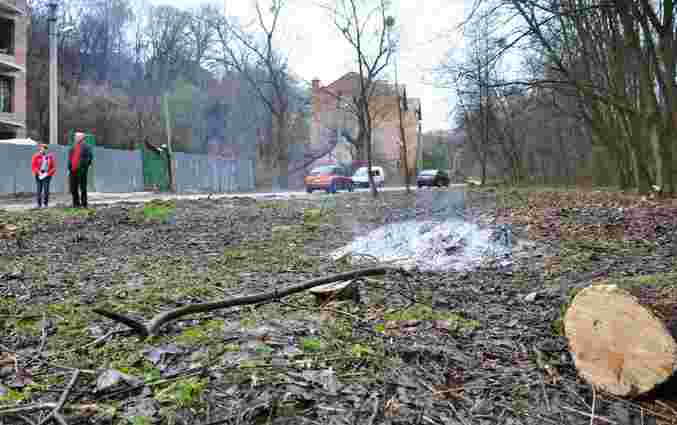У Львові люди завадили вирубці в парку, бо вважали її незаконною