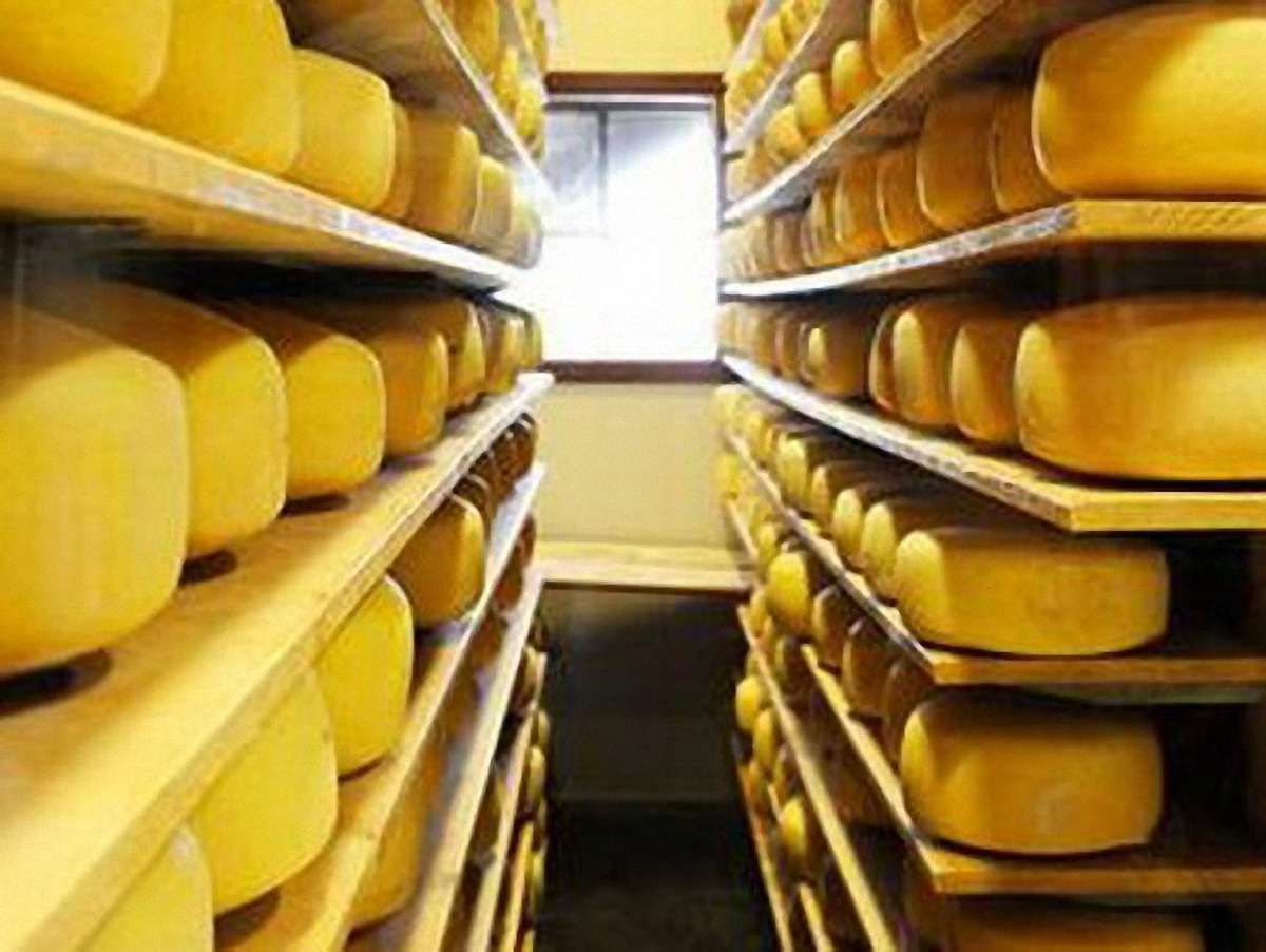 Казахстан, як і Росія, заборонив ввезення українських сирів