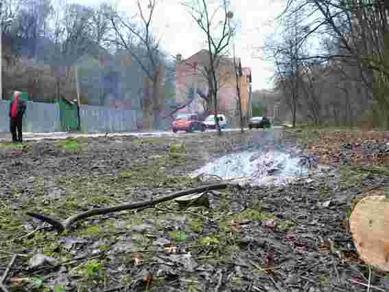 Через вирубку у Снопківському парку почали досудове розслідування 