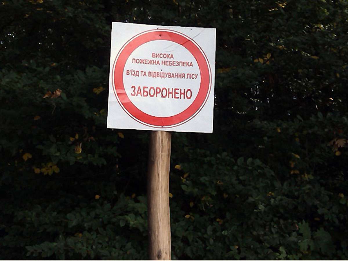 На Львівщині заборонили відвідувати ліси в період пожежонебезпеки 