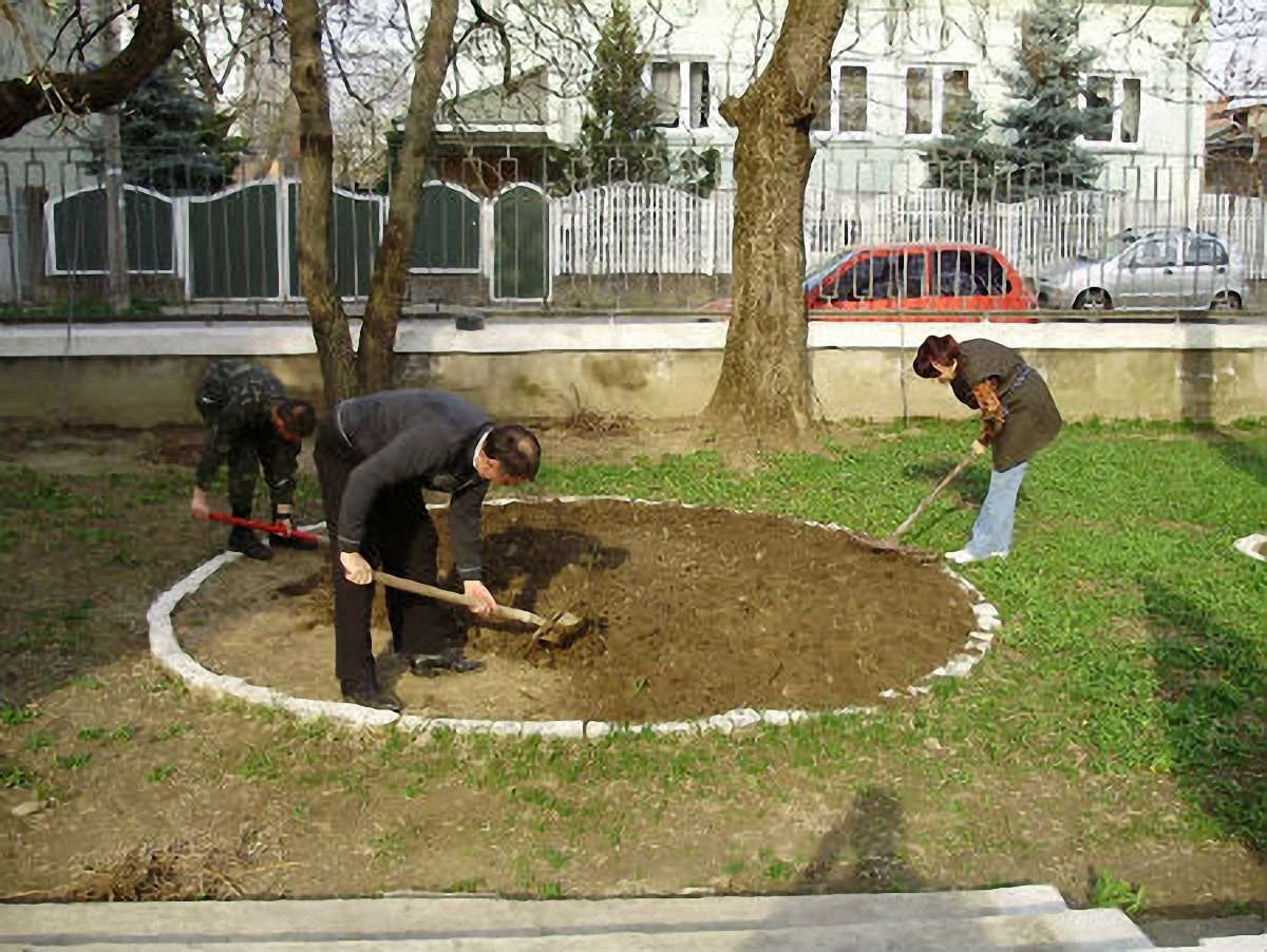 У Львові штрафують за незадовільне утримання приватних територій