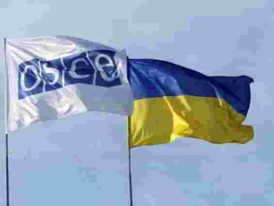 Швеція підтвердила звільнення свого інспектора ОБСЄ в Слов’янську