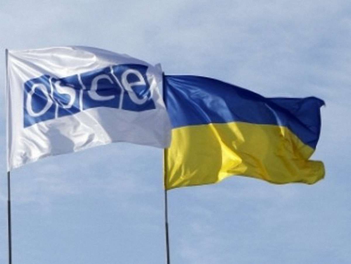 Швеція підтвердила звільнення свого інспектора ОБСЄ в Слов’янську