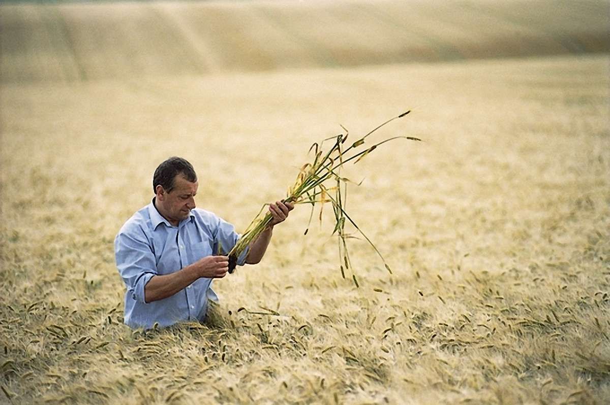Аграрії просять ВР відхилити низку законопроектів