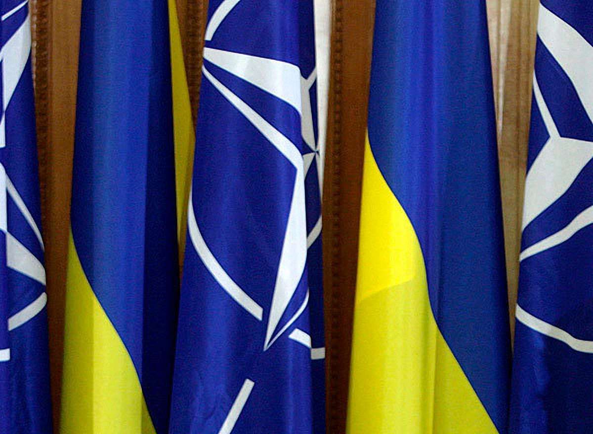 Тимошенко наростила рейтинг на ідеї референдуму про НАТО