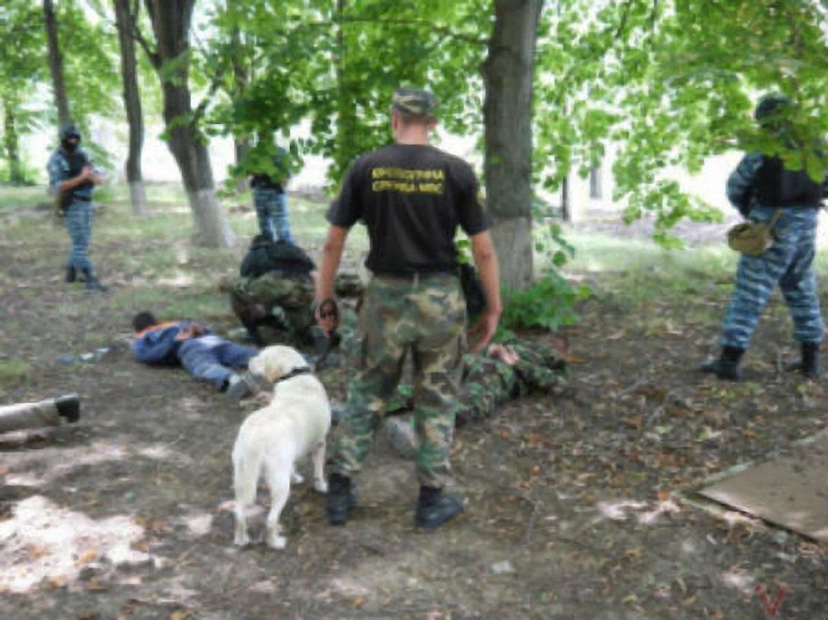 На Луганщині силовики затримали 14 терористів, 2 знищили