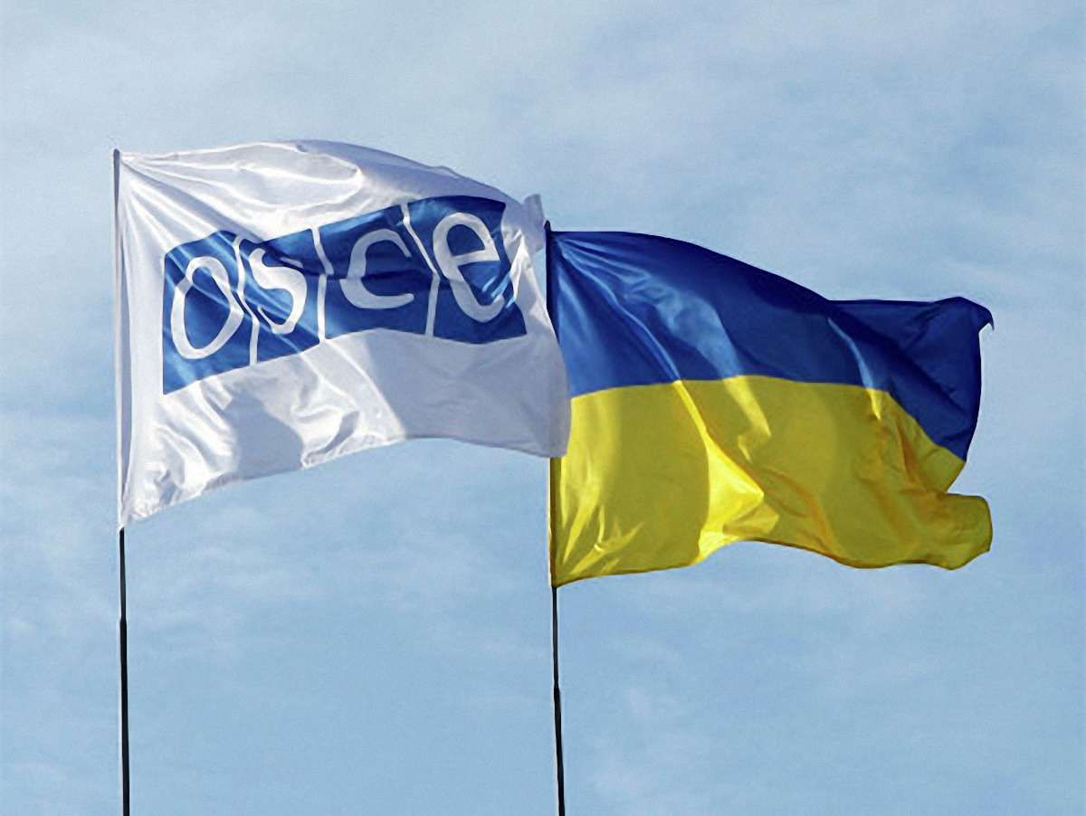 Вибори в Україні відбулися відповідно до стандартів, – ОБСЄ