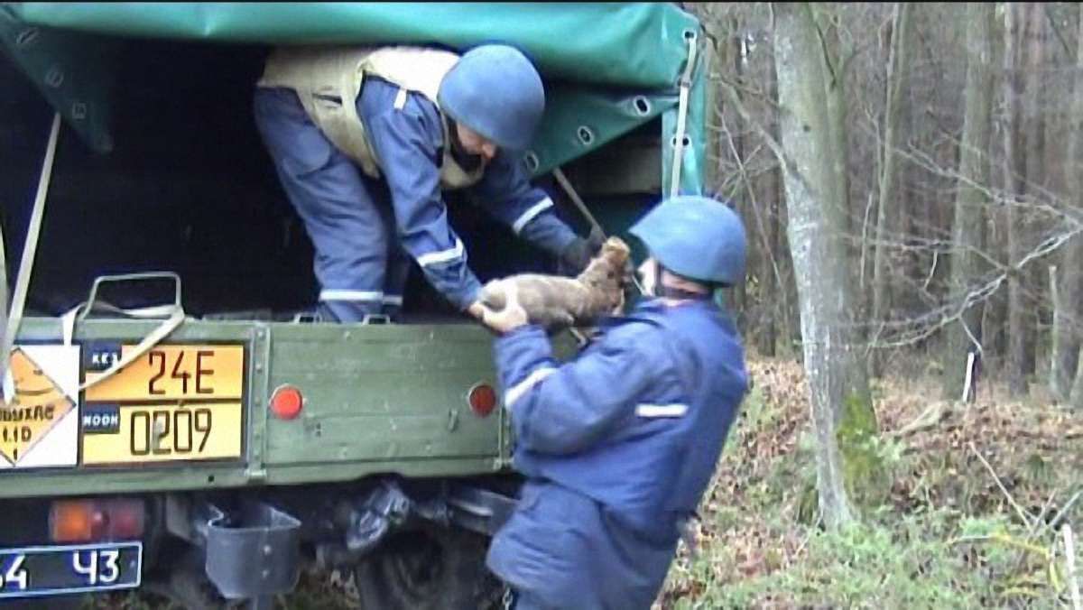 На Рівненщині селяни знайшли 117 мін