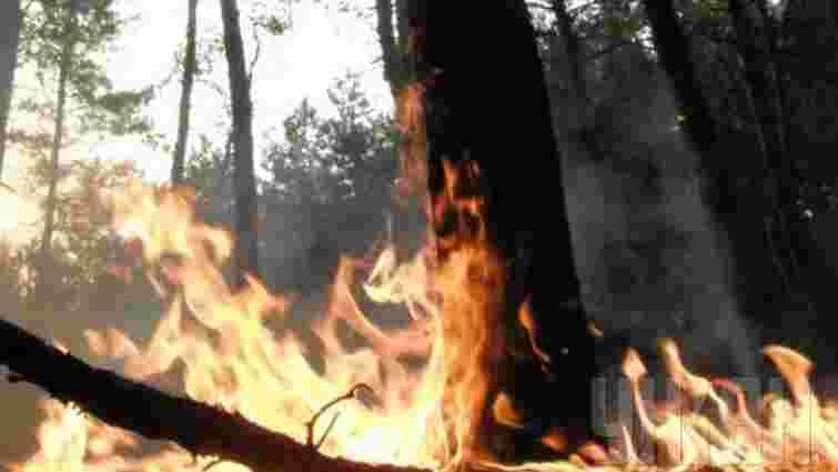 Під Слов'янськом терористи не дають загасити лісову пожежу