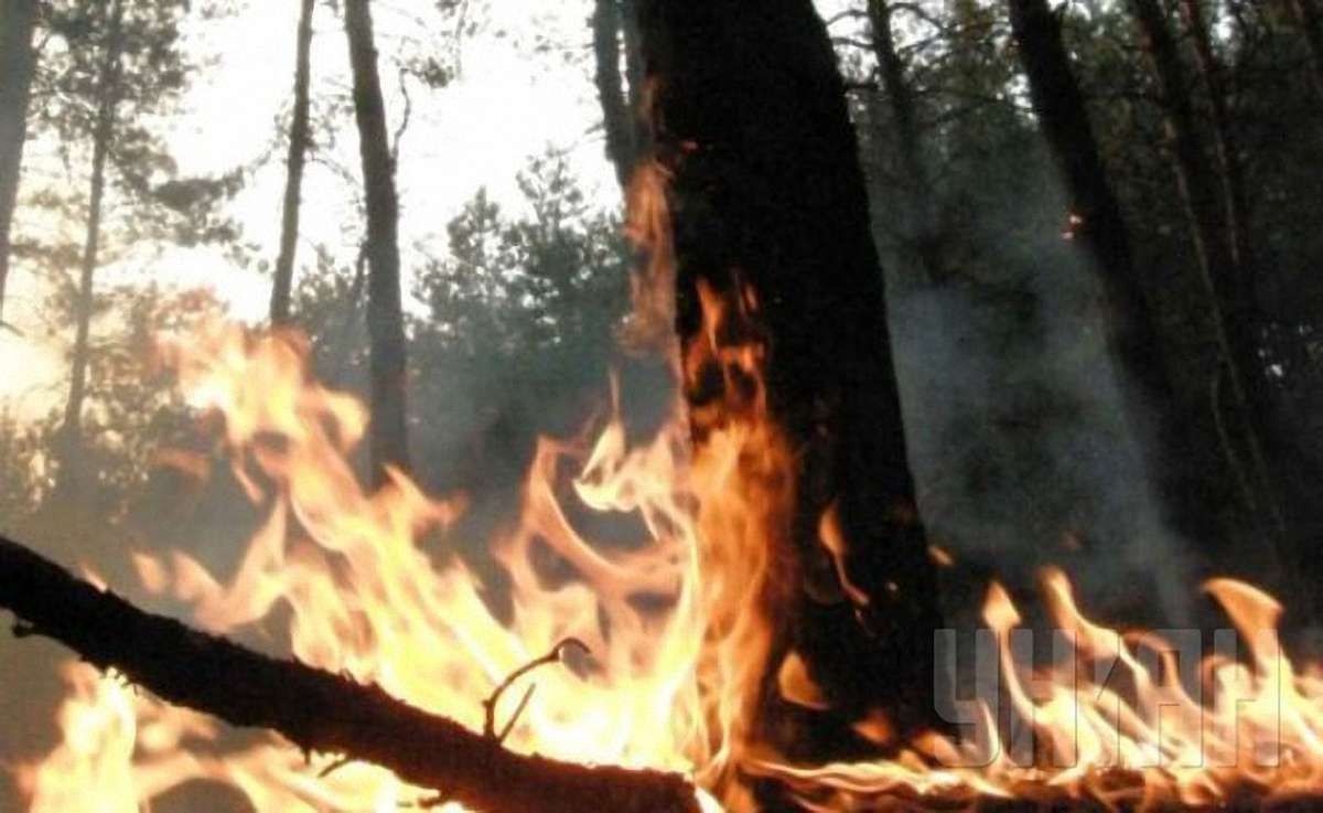 Під Слов'янськом терористи не дають загасити лісову пожежу