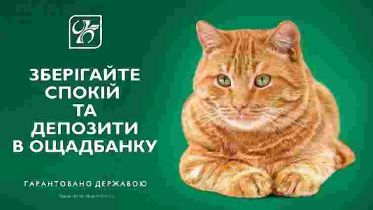  «Ощадбанк» залишив рудого кота символом рекламної кампанії  