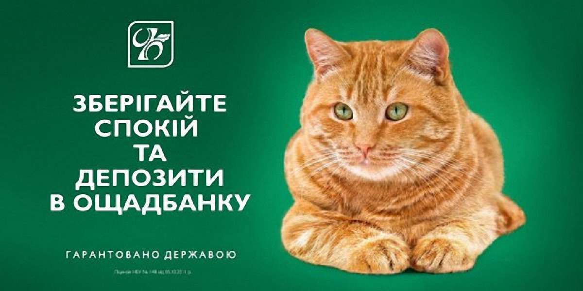  «Ощадбанк» залишив рудого кота символом рекламної кампанії  